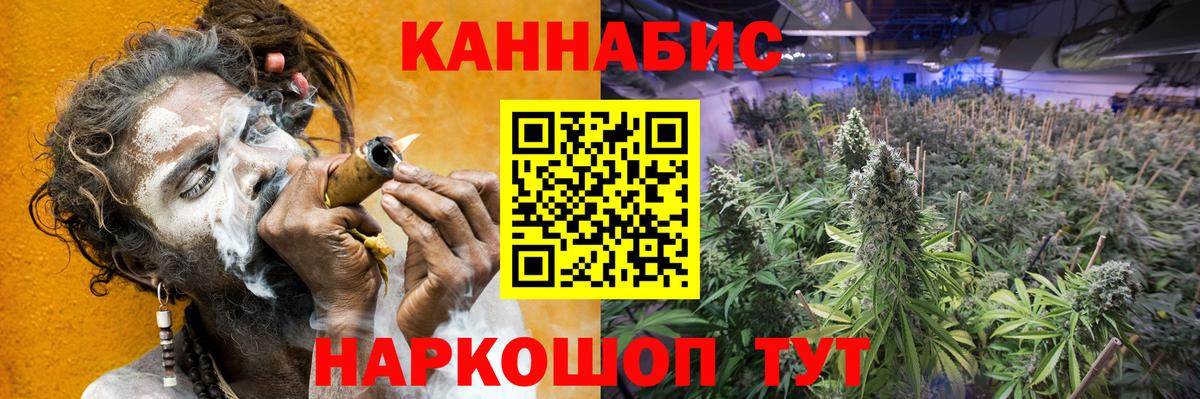 Каннабис план Феодосия